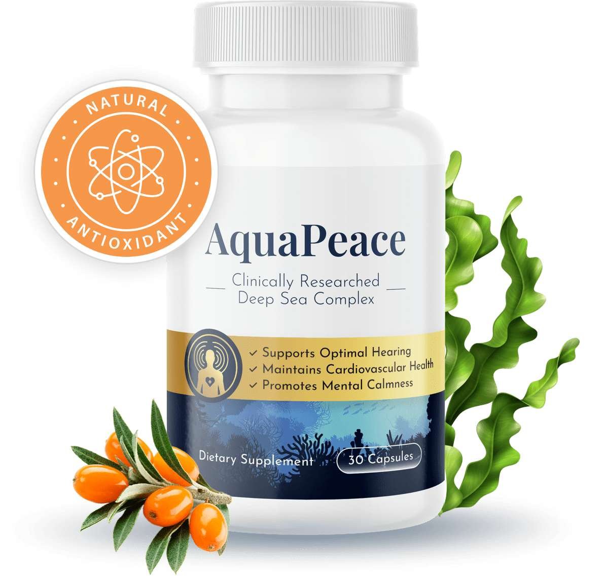 Protoflow Supplement